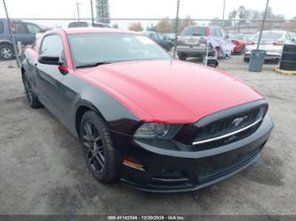 FORD MUSTANG V6