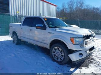 FORD F-150 PLATINUM