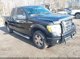 FORD F-150 STX/XL