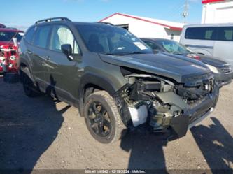 SUBARU FORESTER WILDERNESS