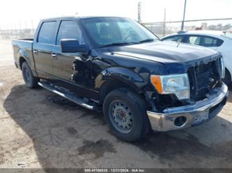 FORD F-150 FX2 SPORT/XL/XLT