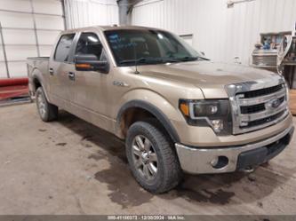 FORD F-150 XLT