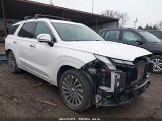 HYUNDAI PALISADE CALLIGRAPHY