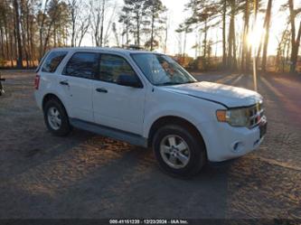 FORD ESCAPE XLS