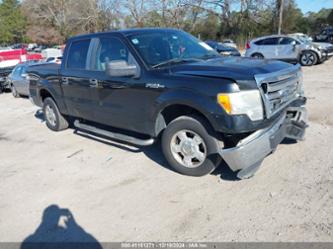 FORD F-150 XLT