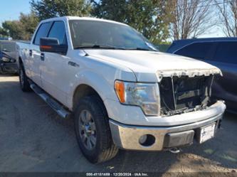 FORD F-150 FX4/HARLEY-DAVIDSON/KING RANCH/LARIAT/PLATINUM/XL/XLT