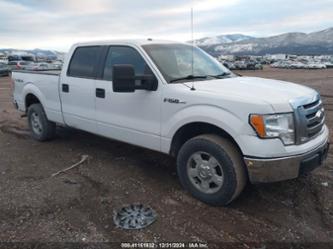 FORD F-150 FX4/HARLEY-DAVIDSON/KING RANCH/LARIAT/PLATINUM/XL/XLT