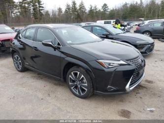 LEXUS UX 250H