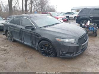 FORD TAURUS SHO