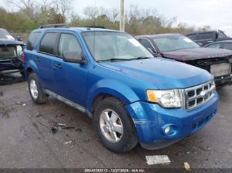 FORD ESCAPE XLT