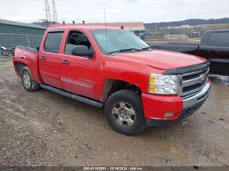 CHEVROLET SILVERADO 1500 LT