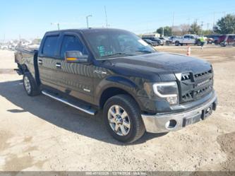 FORD F-150 XLT