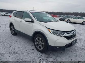 HONDA CR-V EX