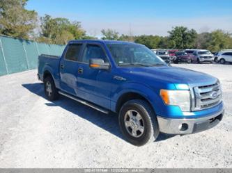 FORD F-150 FX2 SPORT/HARLEY-DAVIDSON/KING RANCH/LARIAT/PLATINUM/XL/XLT