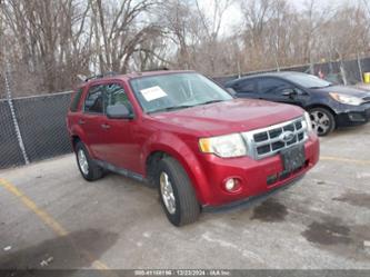 FORD ESCAPE XLT