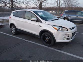 FORD ESCAPE SEL