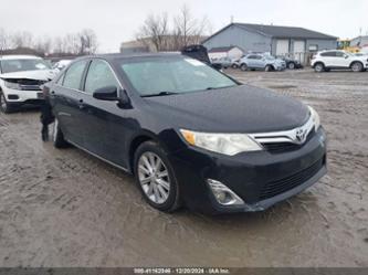 TOYOTA CAMRY XLE V6