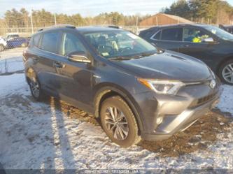 TOYOTA RAV4 HYBRID XLE