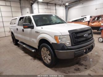 FORD F-150 XL