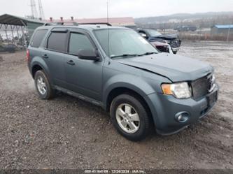 FORD ESCAPE XLT