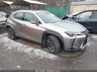 LEXUS UX 250H