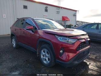 TOYOTA RAV4 HYBRID XLE