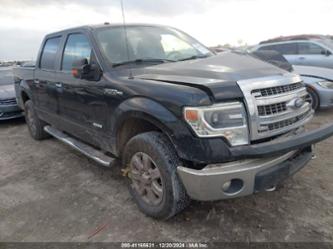 FORD F-150 XLT