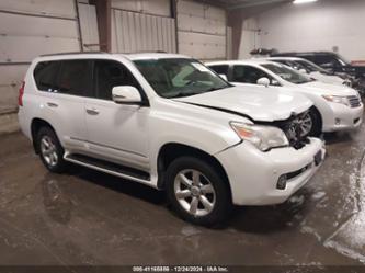 LEXUS GX 460