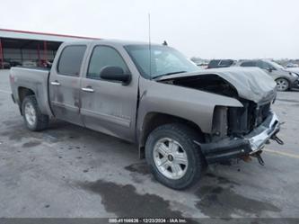 CHEVROLET SILVERADO 1500 LT