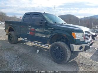 FORD F-150 XLT