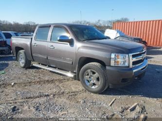 CHEVROLET SILVERADO 1500 LT