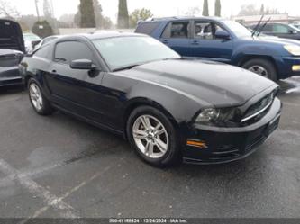 FORD MUSTANG V6