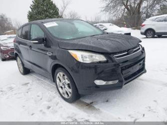 FORD ESCAPE SEL