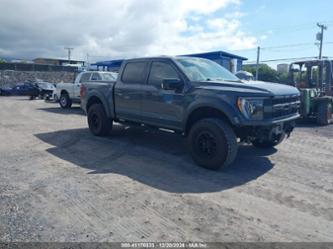 FORD F-150 RAPTOR