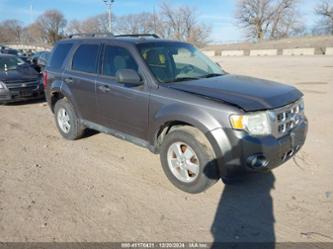 FORD ESCAPE XLT