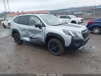 SUBARU FORESTER WILDERNESS