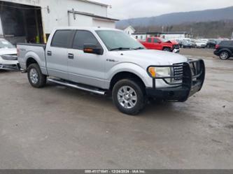 FORD F-150 XLT