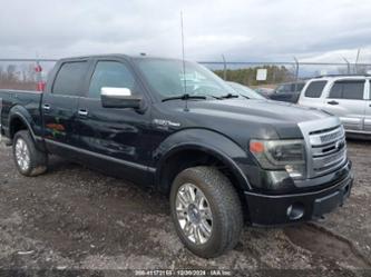 FORD F-150 PLATINUM