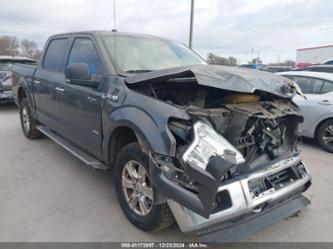 FORD F-150 XLT