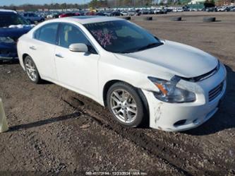 NISSAN MAXIMA 3.5 SV