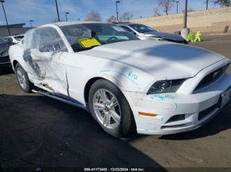 FORD MUSTANG V6