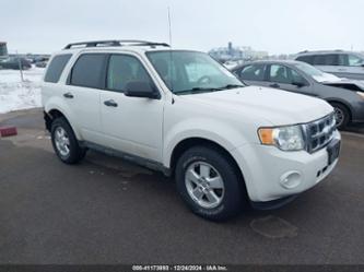 FORD ESCAPE XLT