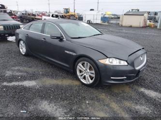 JAGUAR XJL