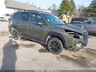 SUBARU FORESTER WILDERNESS