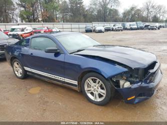 FORD MUSTANG V6