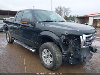 FORD F-150 XLT