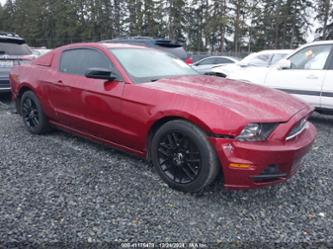 FORD MUSTANG V6