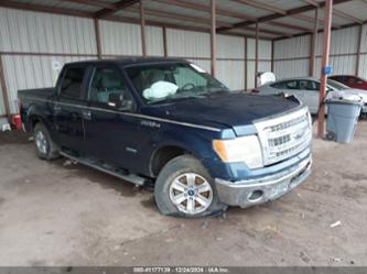 FORD F-150 XLT