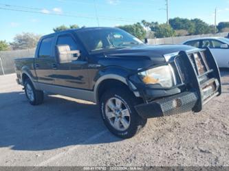 FORD F-150 FX4/HARLEY-DAVIDSON/KING RANCH/LARIAT/PLATINUM/XL/XLT