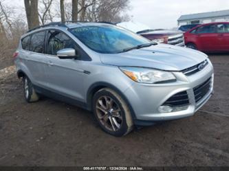 FORD ESCAPE SEL